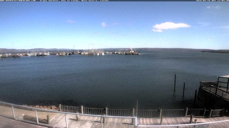Digby Harbour