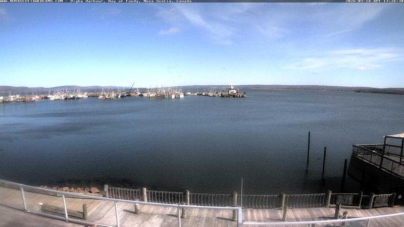 Digby Harbour