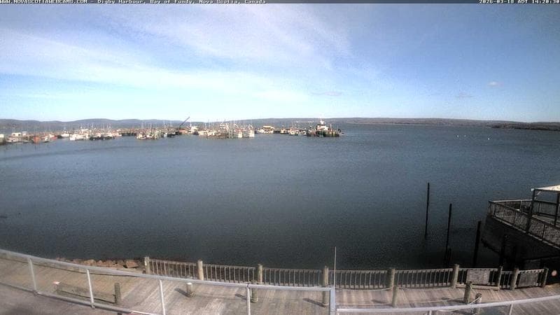 Digby Harbour