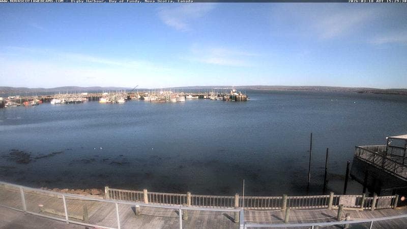 Digby Harbour