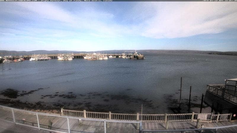 Digby Harbour