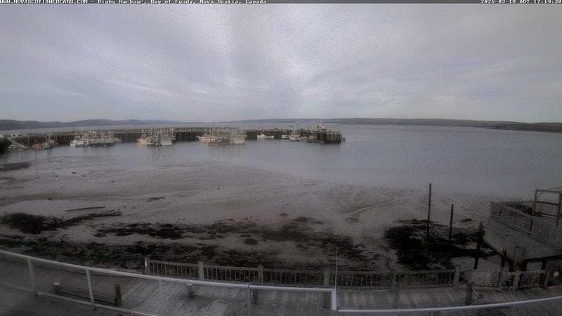 Digby Harbour