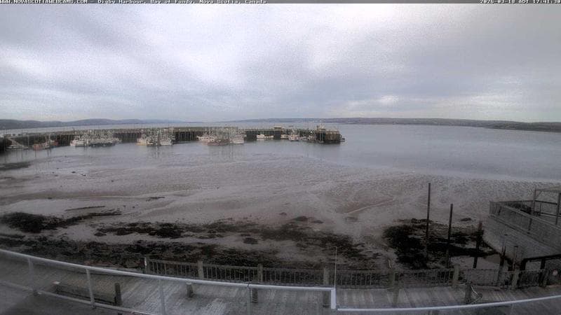 Digby Harbour