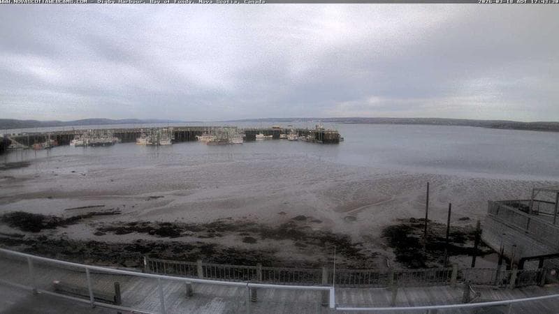 Digby Harbour