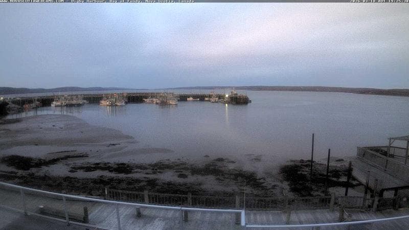 Digby Harbour