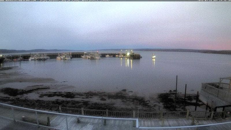 Digby Harbour
