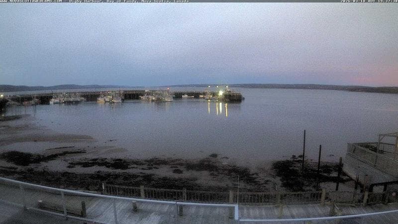 Digby Harbour