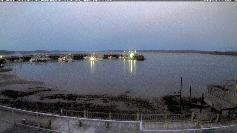 Digby Harbour