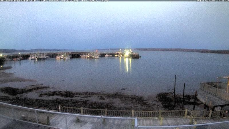 Digby Harbour