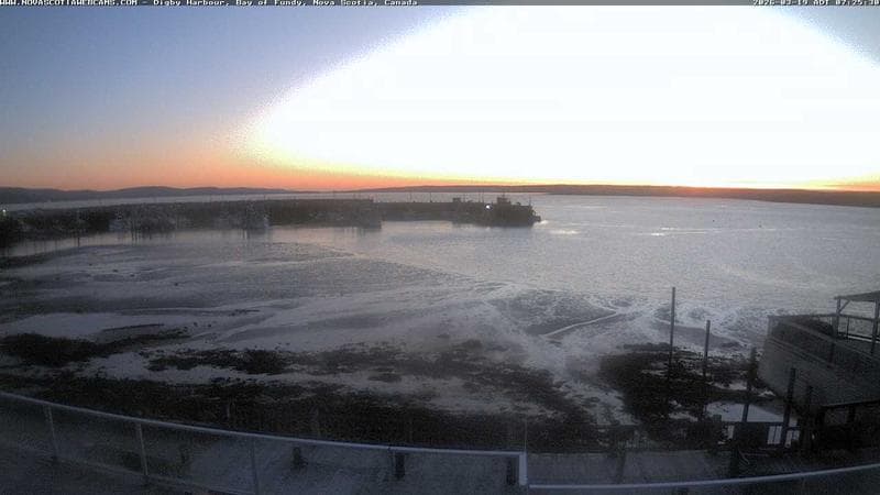 Digby Harbour