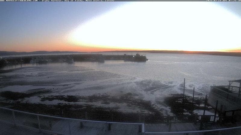 Digby Harbour