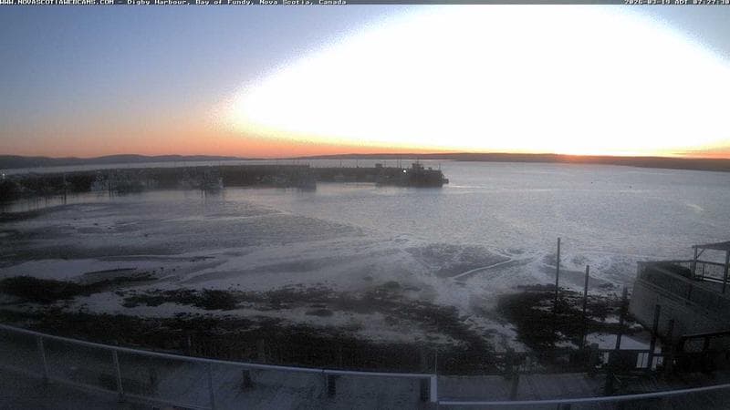 Digby Harbour