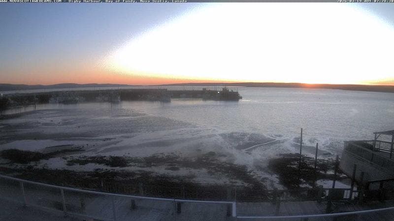 Digby Harbour
