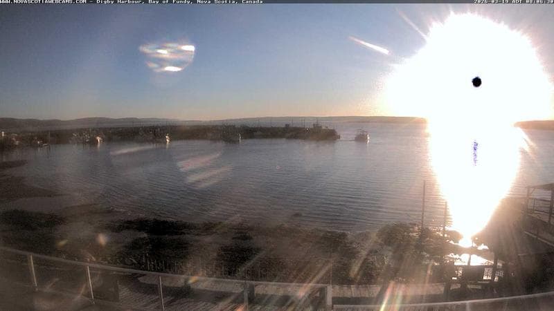 Digby Harbour