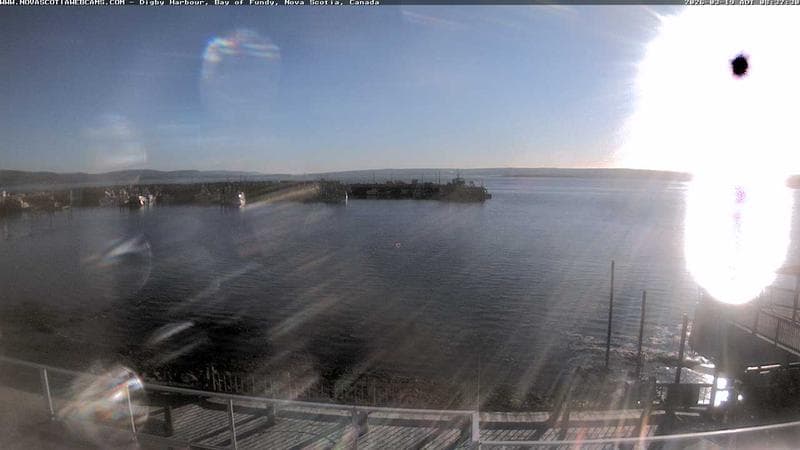 Digby Harbour