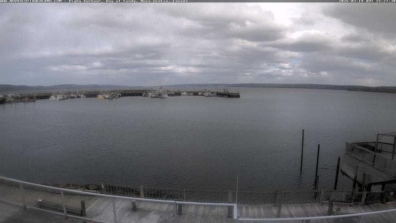 Digby Harbour