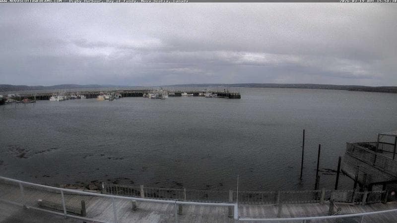 Digby Harbour