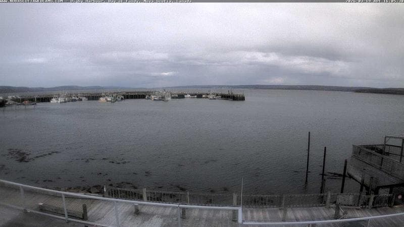 Digby Harbour