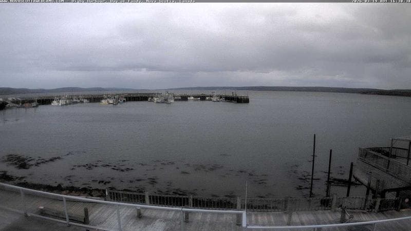 Digby Harbour