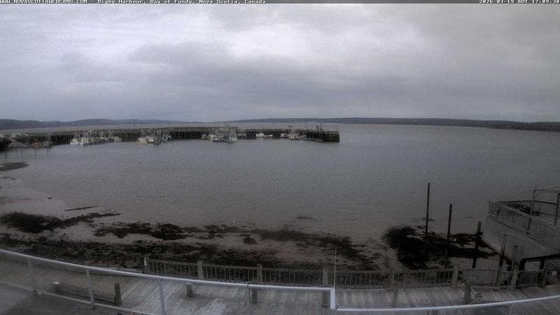 Digby Harbour