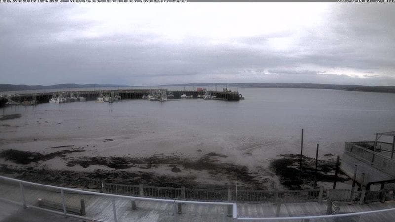 Digby Harbour