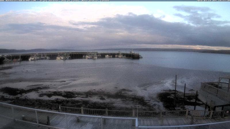 Digby Harbour