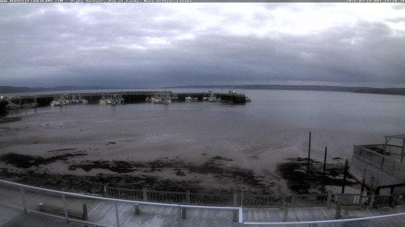 Digby Harbour