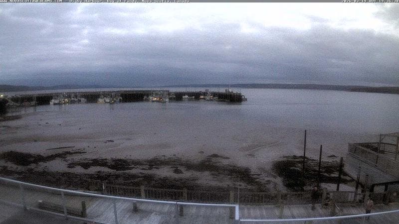 Digby Harbour