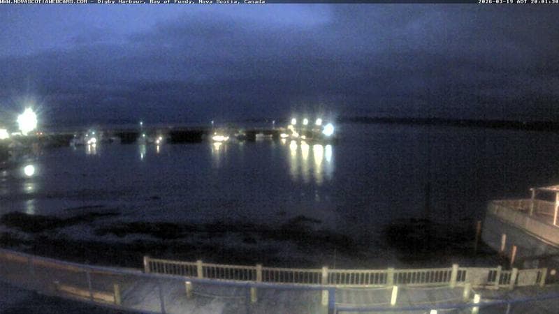 Digby Harbour