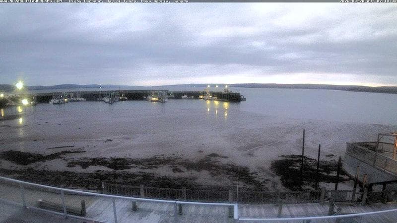 Digby Harbour