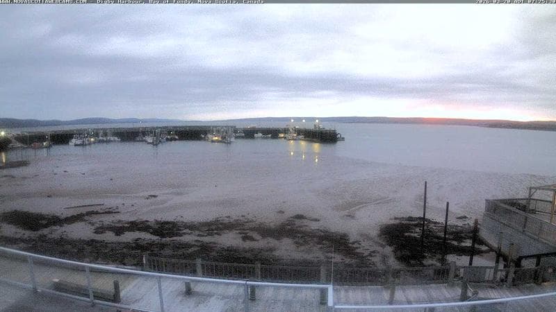 Digby Harbour