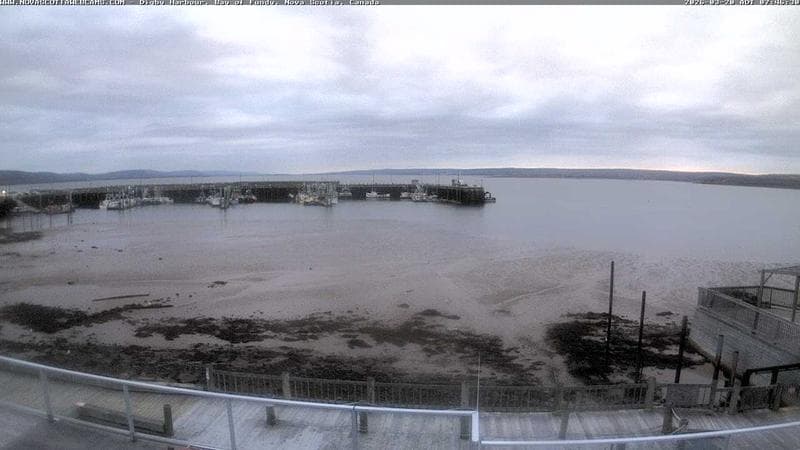 Digby Harbour