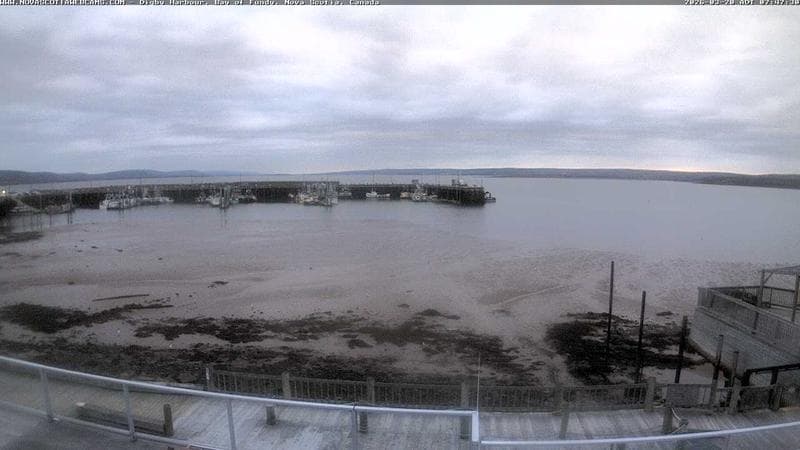 Digby Harbour
