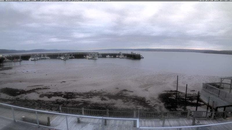Digby Harbour