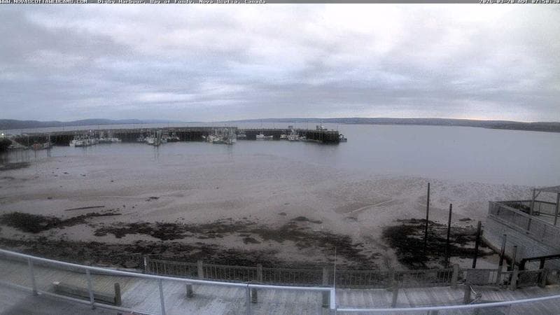 Digby Harbour