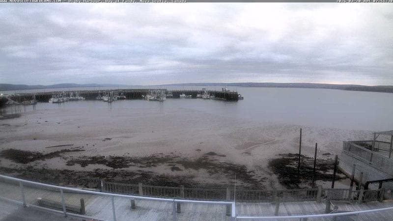 Digby Harbour