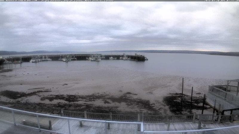 Digby Harbour