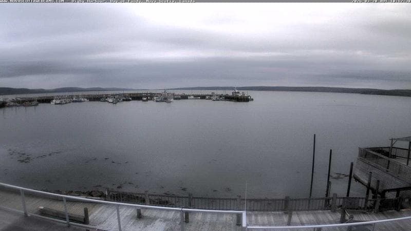 Digby Harbour