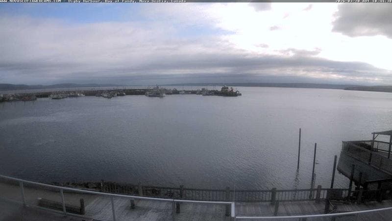 Digby Harbour