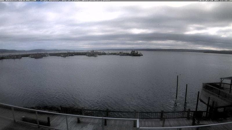 Digby Harbour