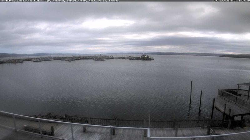Digby Harbour