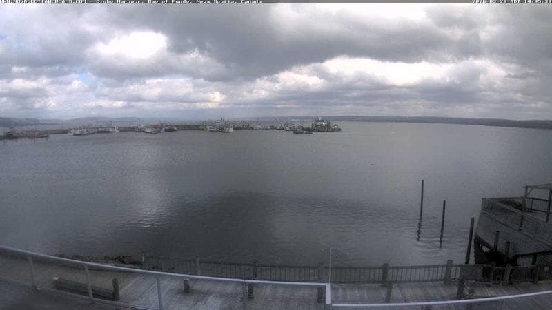 Digby Harbour