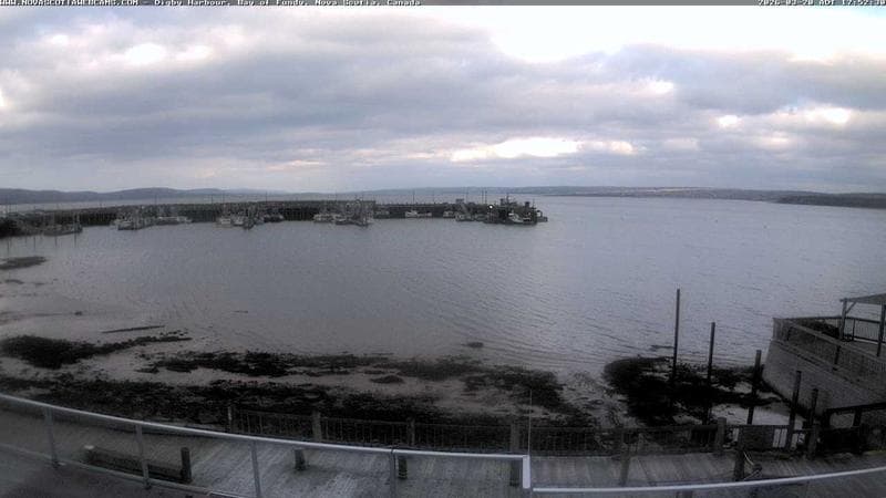 Digby Harbour