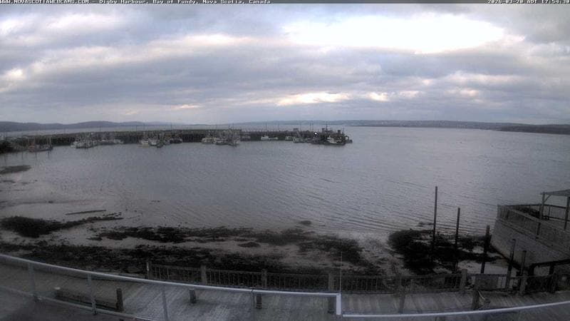 Digby Harbour