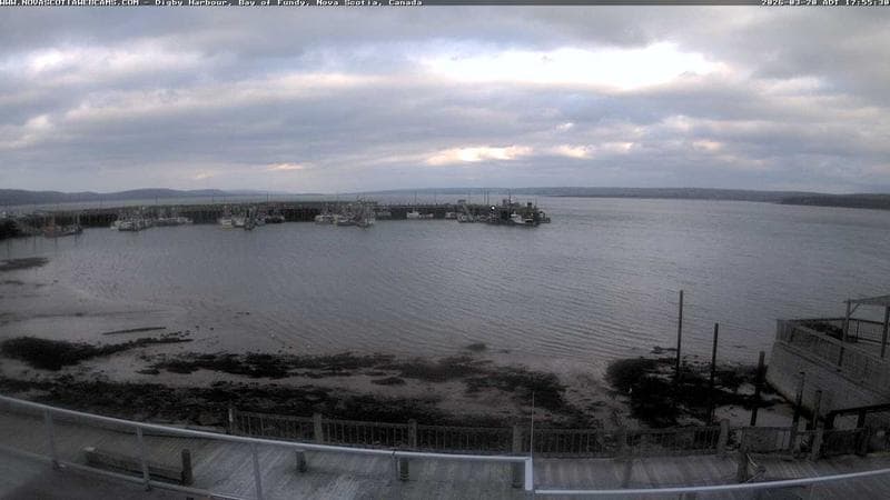 Digby Harbour