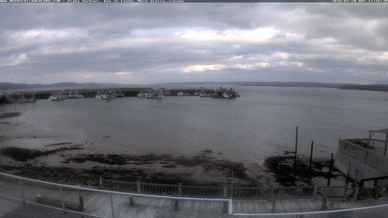 Digby Harbour
