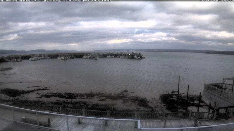 Digby Harbour