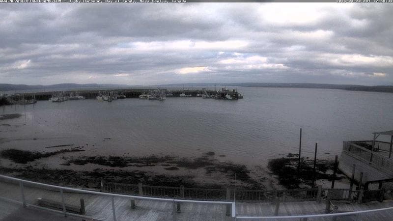 Digby Harbour