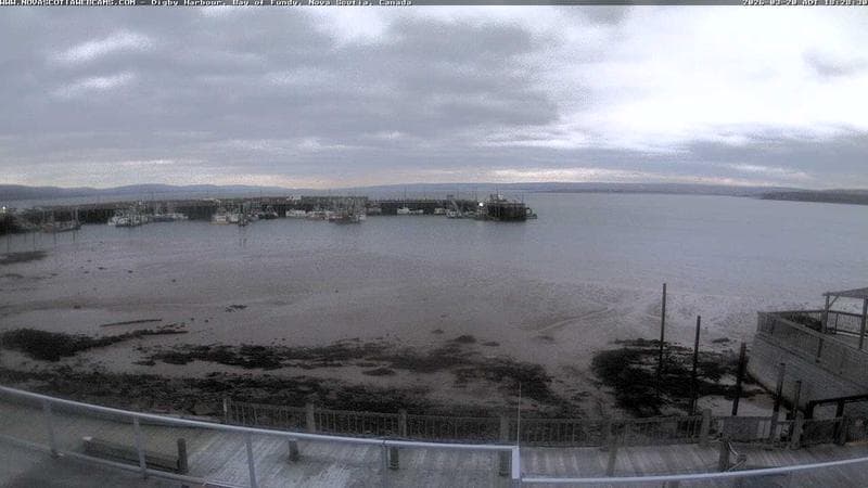 Digby Harbour