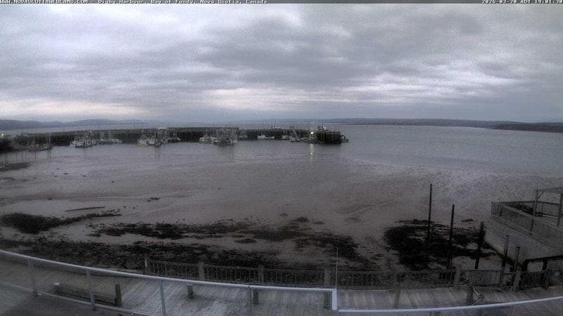 Digby Harbour